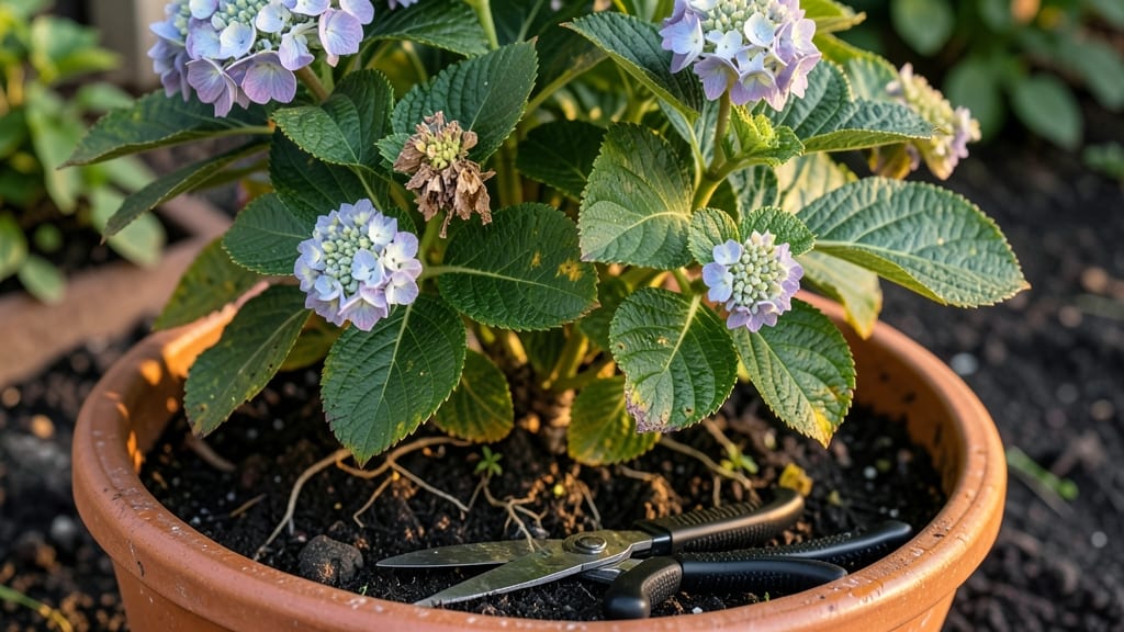 How To Prune Flowering Shrubs: Seasonal Trimming for Longer Blooms